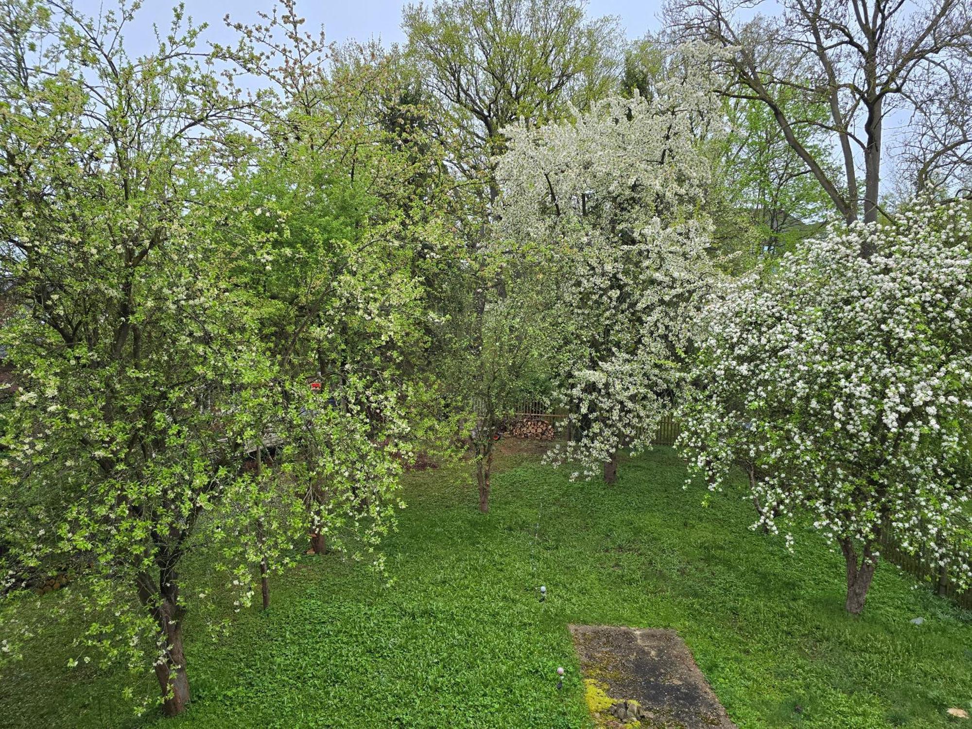 Villa Kuechwald Κέμνιτς Εξωτερικό φωτογραφία