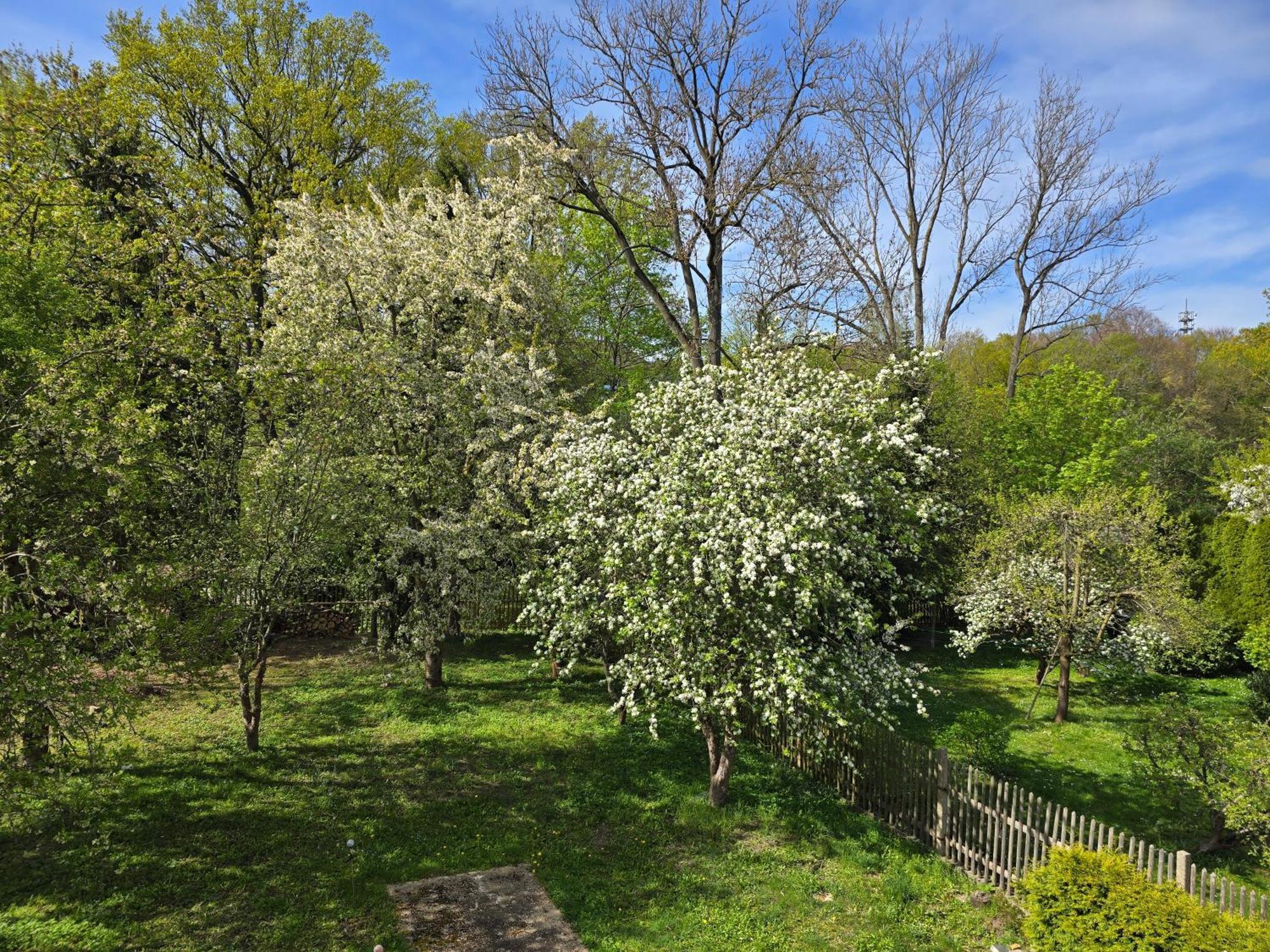 Villa Kuechwald Κέμνιτς Εξωτερικό φωτογραφία